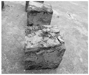 ������w�Sԇ�K�Ɖ��ΑB(t��i)